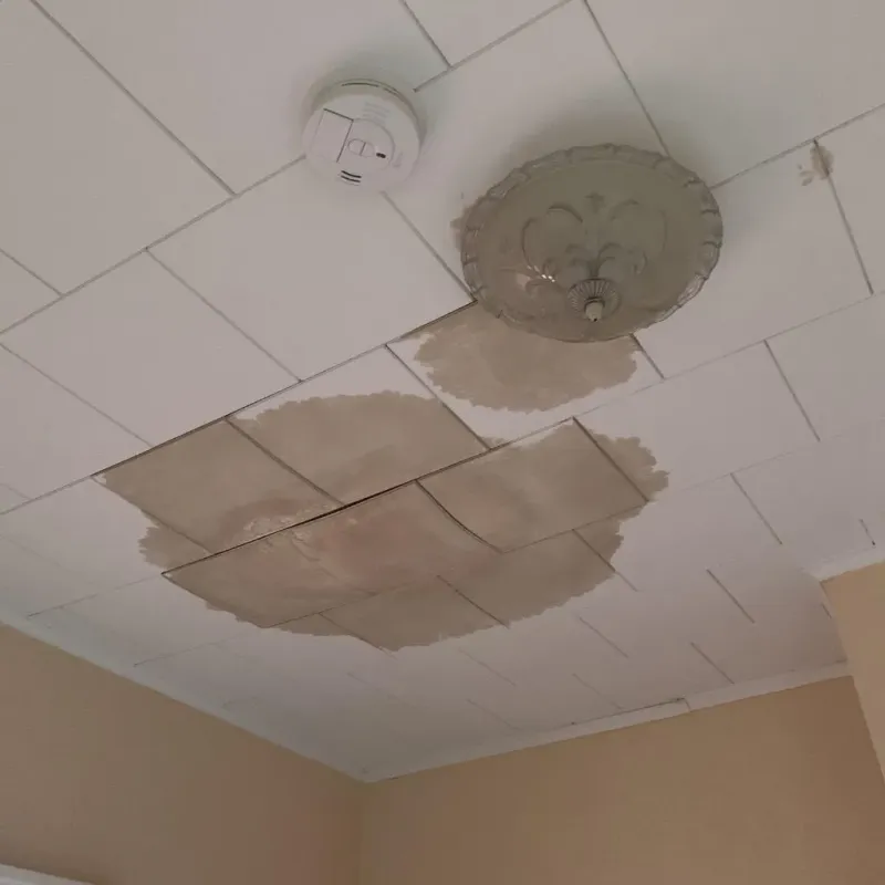 Ceiling Water Damage Repair in Elkin, NC